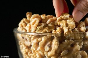 核桃的營養價值