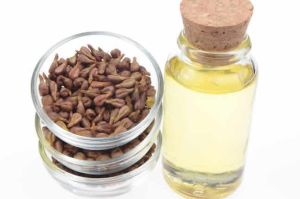 葡萄籽油對頭髮的功效