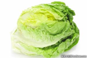 捲心萵苣的營養價值是什麼？