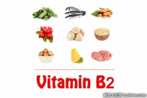 如何選擇含核黃素的食物？