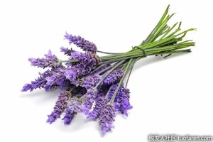 頭髮生長精油，打造美麗秀髮–它們有效嗎？