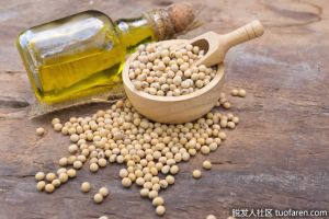 大豆油是什麼？