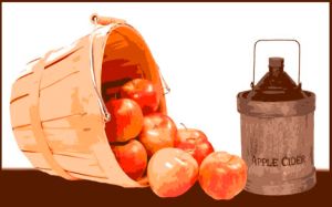 蘋果醋治療脱髮