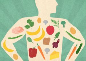 身體需要的五種主要營養物質