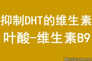 抑制DHT的維生素：葉酸-維生素B9