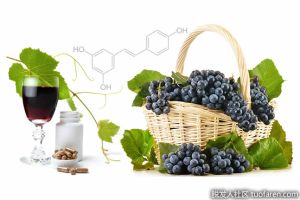 白藜蘆醇是什麼？