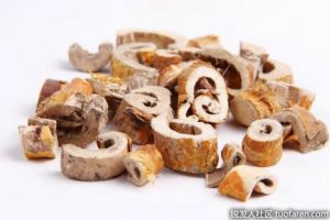 桑白皮對健康的好處