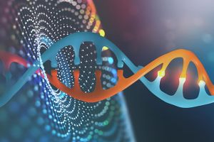 脱髮：擊敗遺傳密碼