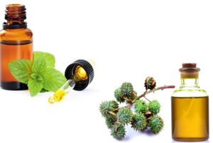 蓖麻油和薄荷油用於頭髮生長