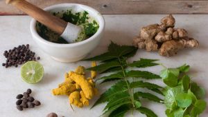 清潔頭皮的草藥