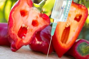 轉基因食品的利弊是什麼?