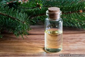 什麼是雲杉精油？