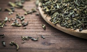 綠茶對痛風有害嗎?