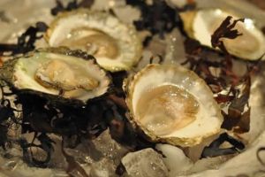 抑制DHT的食物：牡蠣