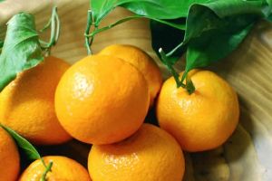 吃什麼水果對頭髮好