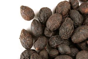 購買鋸棕櫚最好的建議是什麼?