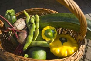 富含纖維的蔬菜