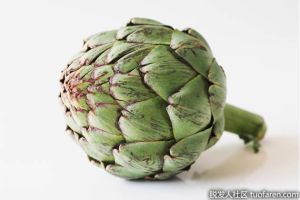 洋薊的好處