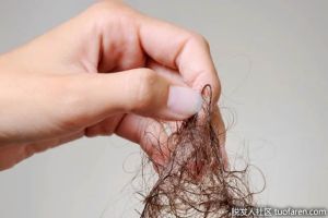 女性脱髮多少是正常的？