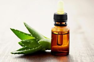 什麼是蘆薈油?