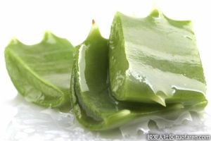 蘆薈凝膠在眼睛周圍有什麼好處？