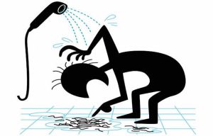 【重要】頭髮護理專家的脱髮建議