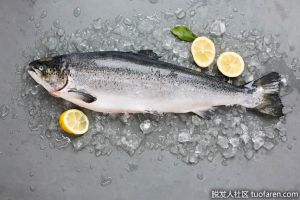 維生素D來源：鮭魚