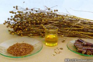 亞麻籽油的營養成分