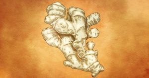 生薑在懷孕期間安全嗎?多少是安全的?