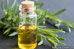什麼精油適合頭髮使用