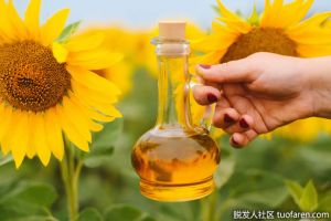 什麼是葵花籽油？
