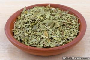 番瀉葉茶的危害是什麼？