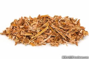 臀果木提取物的好處