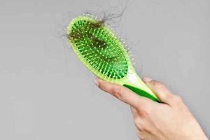 成人平均每天掉多少根頭髮？