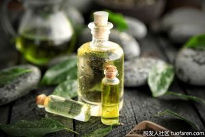 用於頭髮和頭皮的茶樹油