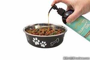 什麼是野生阿拉斯加鮭魚油？