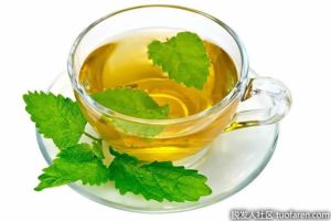 蕁麻茶的好處