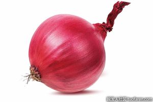 洋葱對頭髮有什麼作用