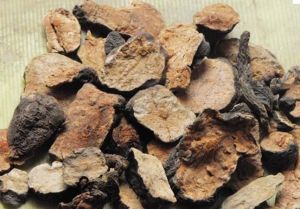 何首烏有什麼好處?