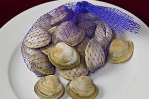 維生素B12對你有什麼作用？