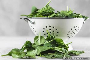 防止脱髮的食物之菠菜