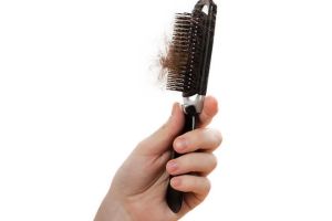 關於脱髮的誤區