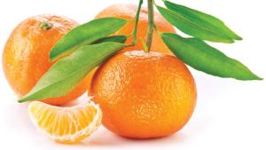 橘子的維生素C含量和橙子一樣多嗎？