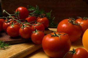 番茄紅素推薦劑量