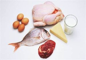 哪些食物富含維生素B12？