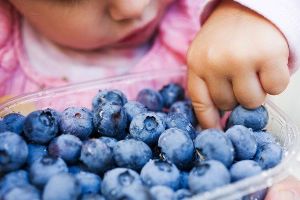 吃藍莓的好處