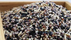 用雜糧米預防脱髮