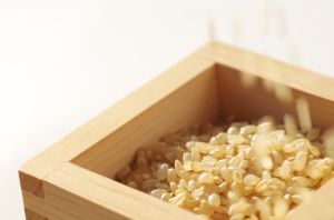 脱髮、頭皮異味、頭髮稀疏是由飲食決定的