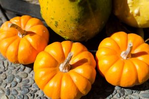 南瓜籽油的護髮效果