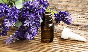 薰衣草精油對頭髮的功效